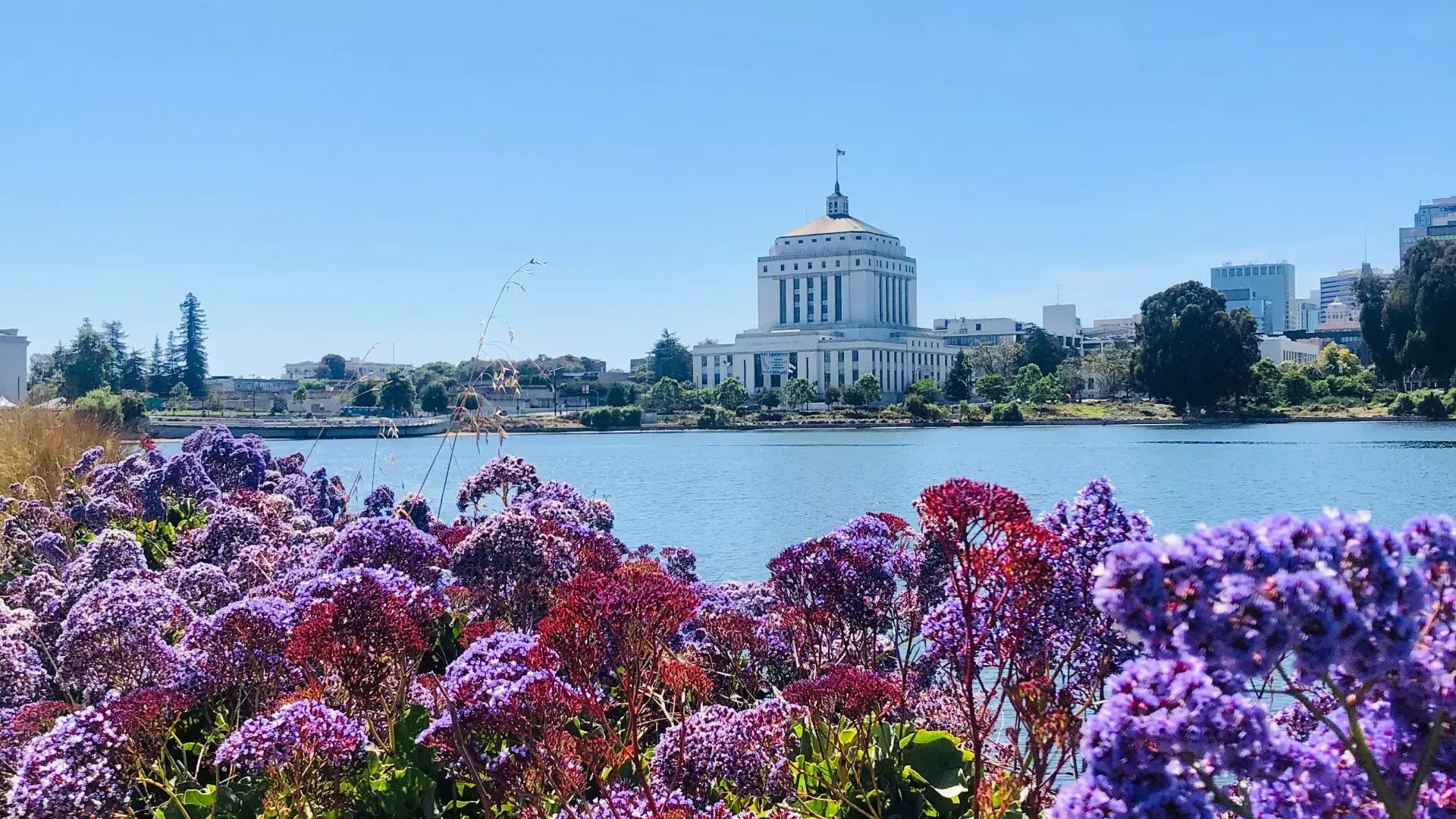 East Bay
