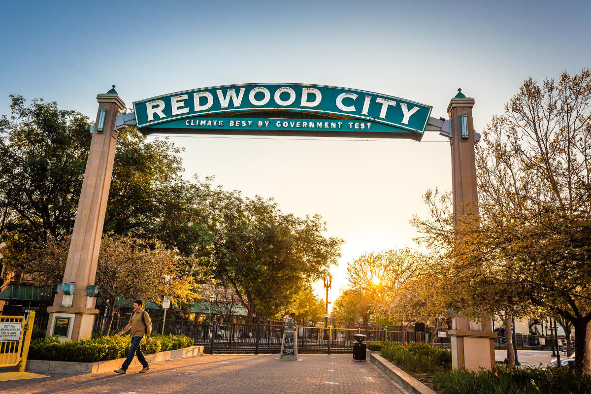 redwood